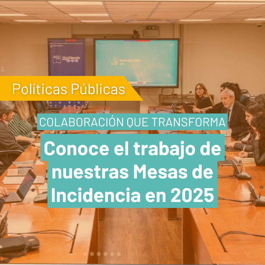 Colaboración que transforma: conoce el trabajo de nuestras Mesas de Incidencia en Políticas Públicas 2025