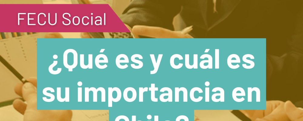 Es importante completar la Fecu Social