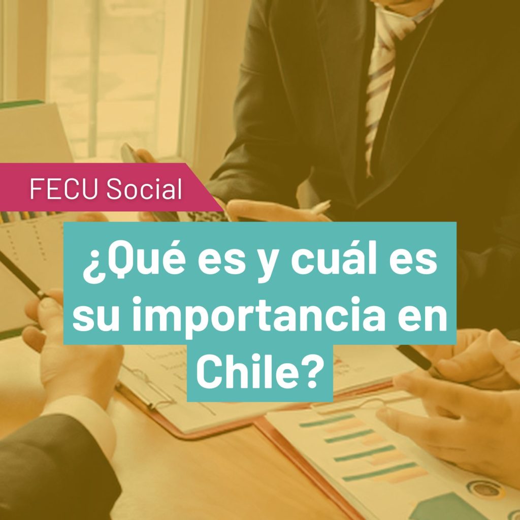 Es importante completar la Fecu Social