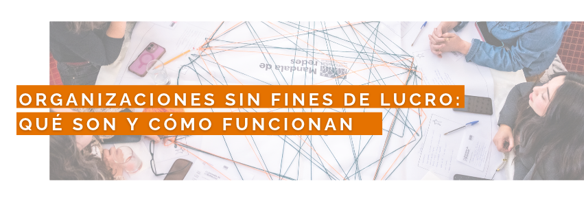 Organizaciones sin fines de lucro de la red de la Comunidad de Organizaciones Solidarias